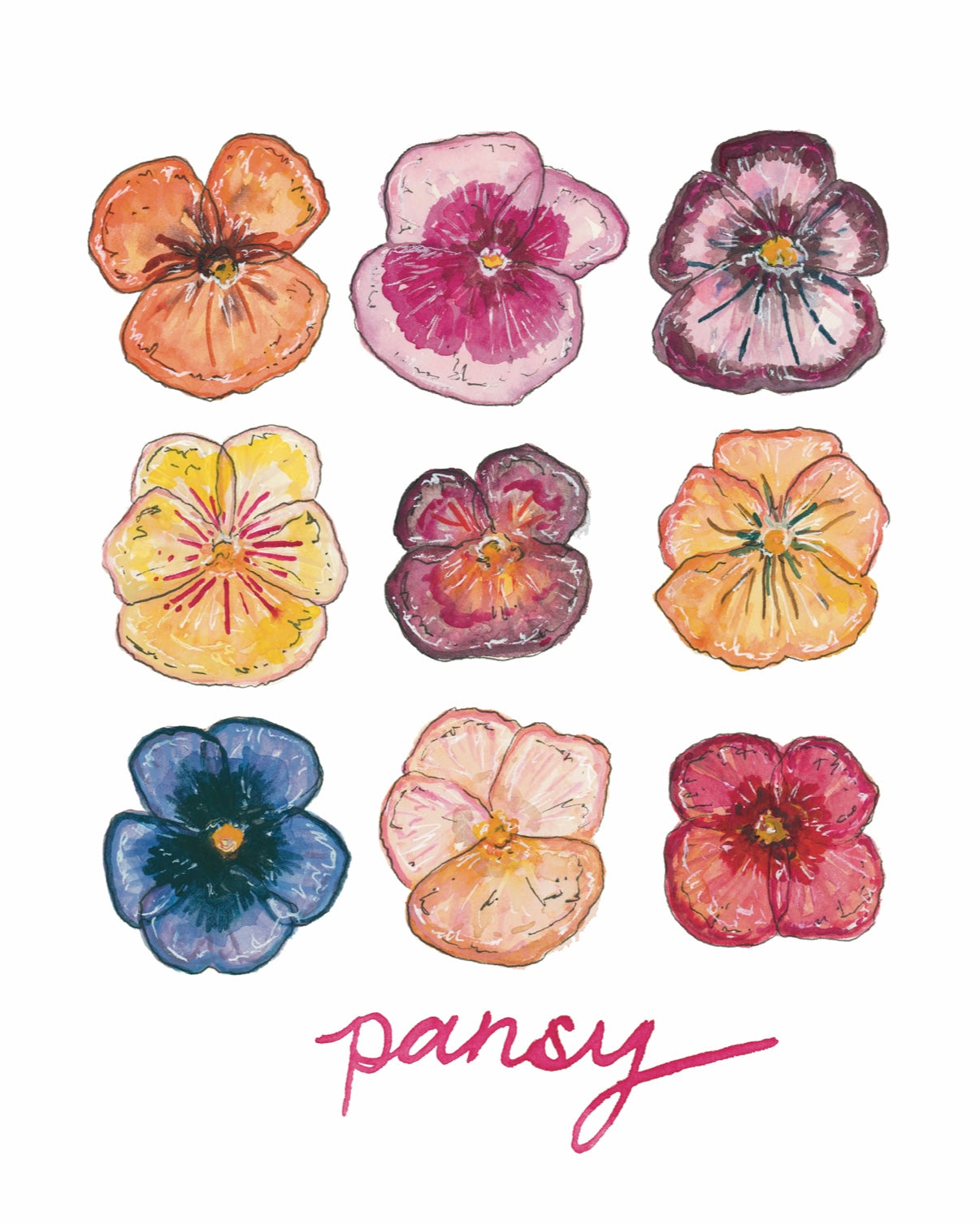 Pansy Flower Botanical Chart Art Print