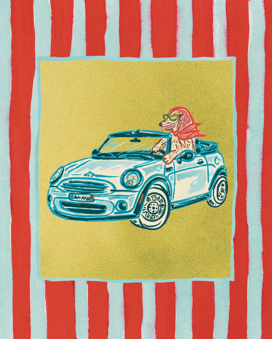 Dachshund Collection: Convertible Rides Fine Art Print