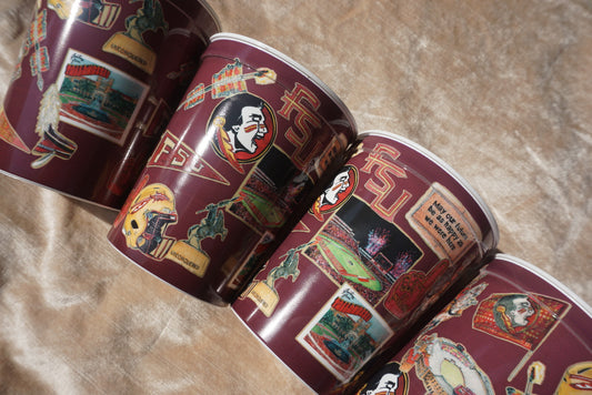FSU Collage Stadium Cup Set of 4