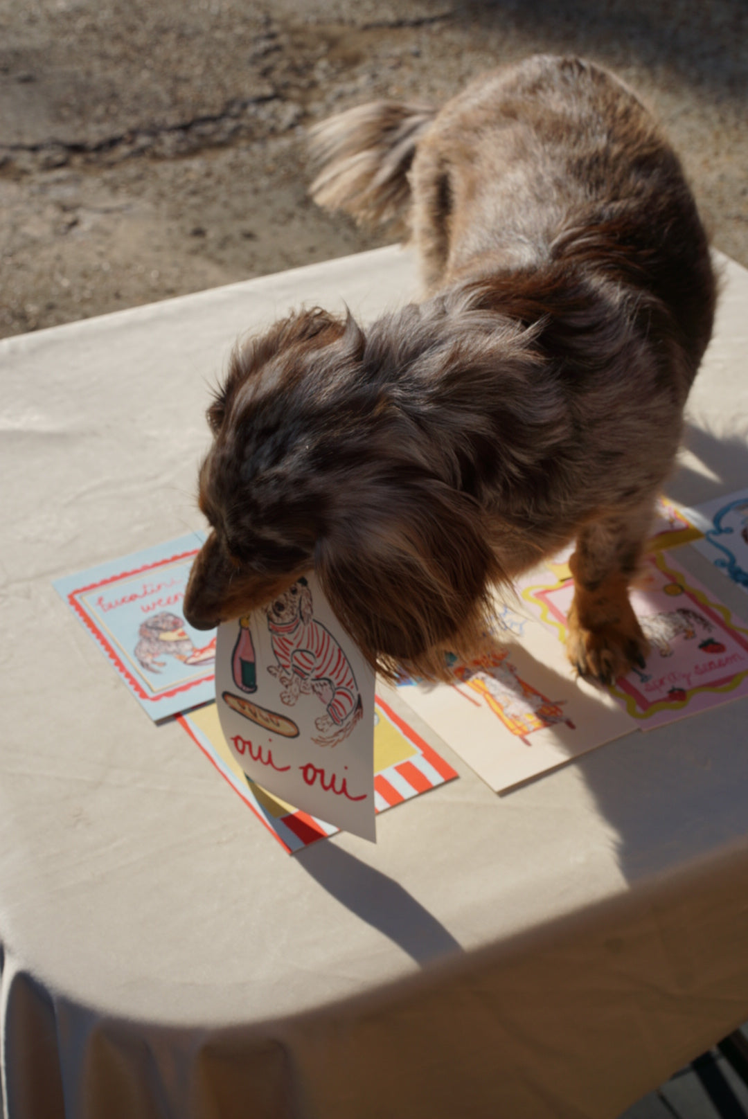 Dachshund Collection: Oui Oui Weenie Fine Art Print