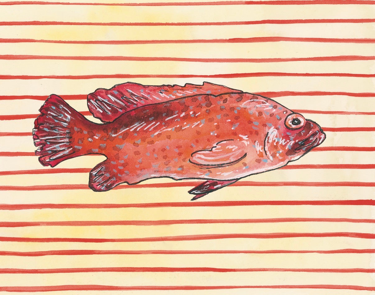 Florida Fish (Grouper) Fine Art Print