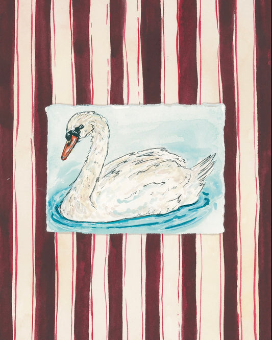 Swan with Purple Stripes Fine Art Print