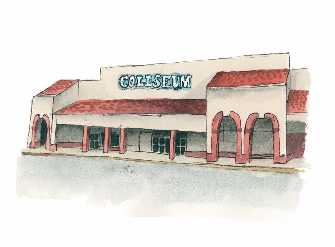 Tallahassee Bars Coliseum Print
