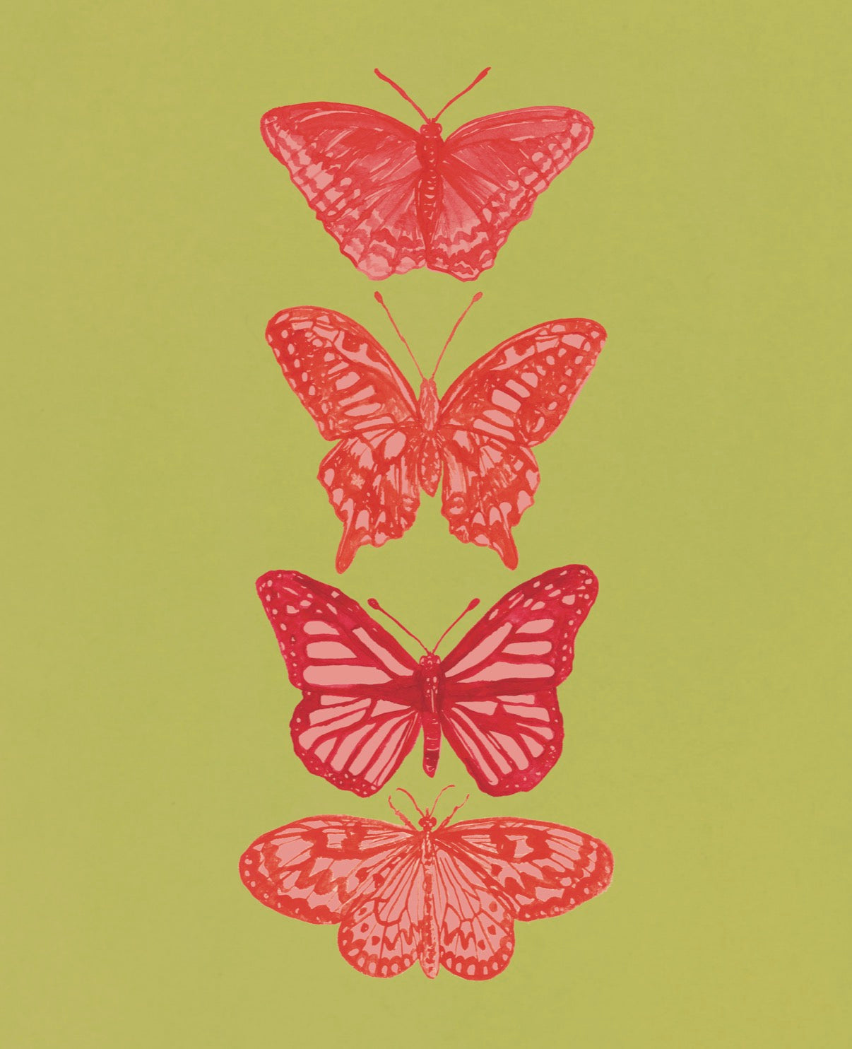 Pink and Green Butterfly Fine Art Print