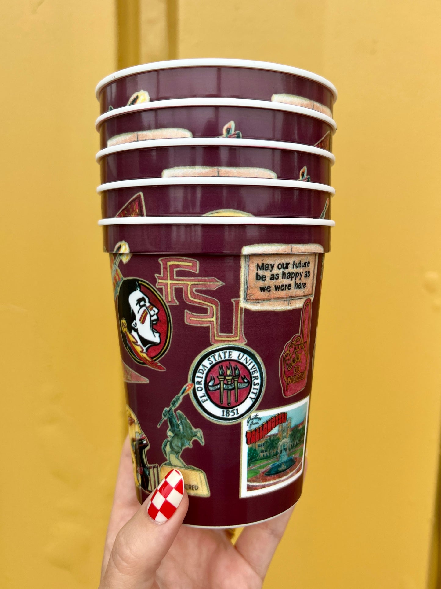 Florida State Univeristy Collage Stadium Cup Set of 4