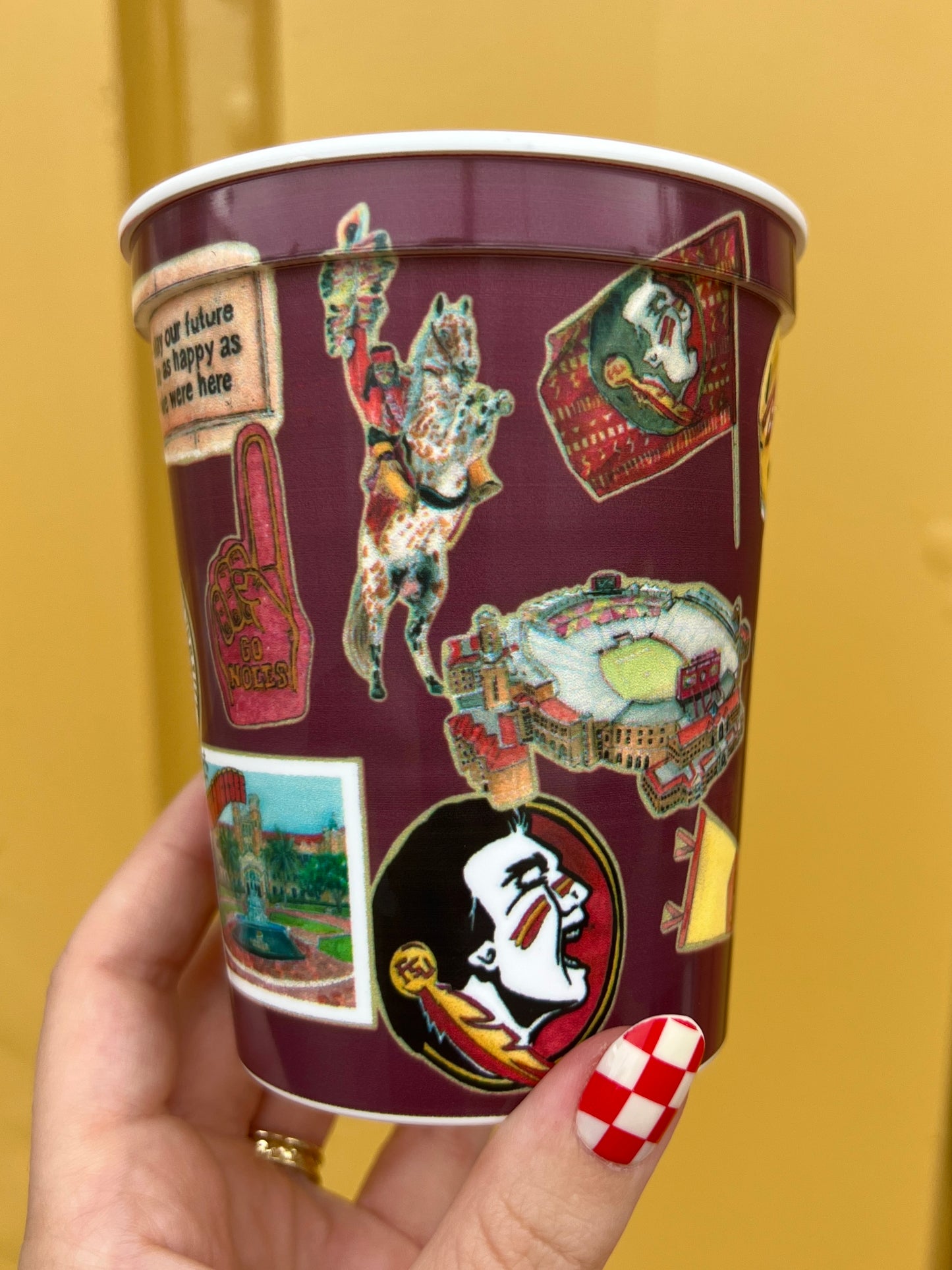 Florida State Univeristy Collage Stadium Cup Set of 4