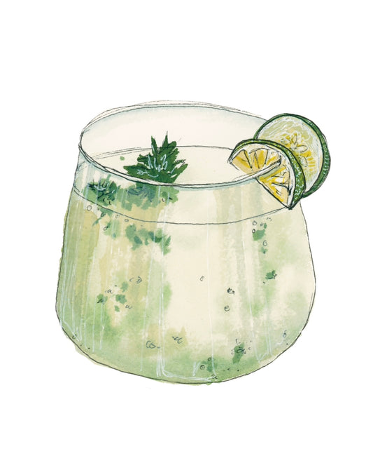 Cucumber Spritz Art Print