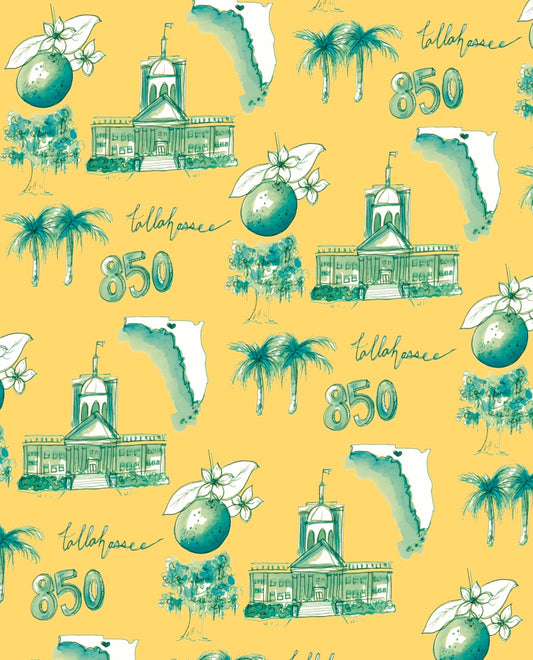 Tallahassee Florida Print