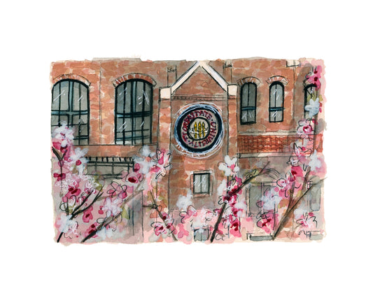 FSU Stadium with Flowers Print