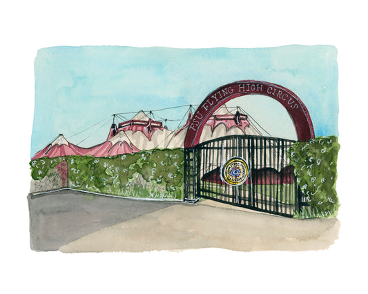 FSU Circus Tent Print