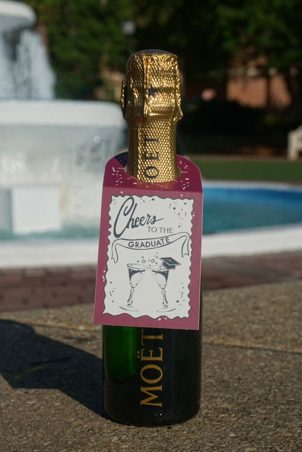 "Cheers to the Graduate!" Champagne Bottle Tag