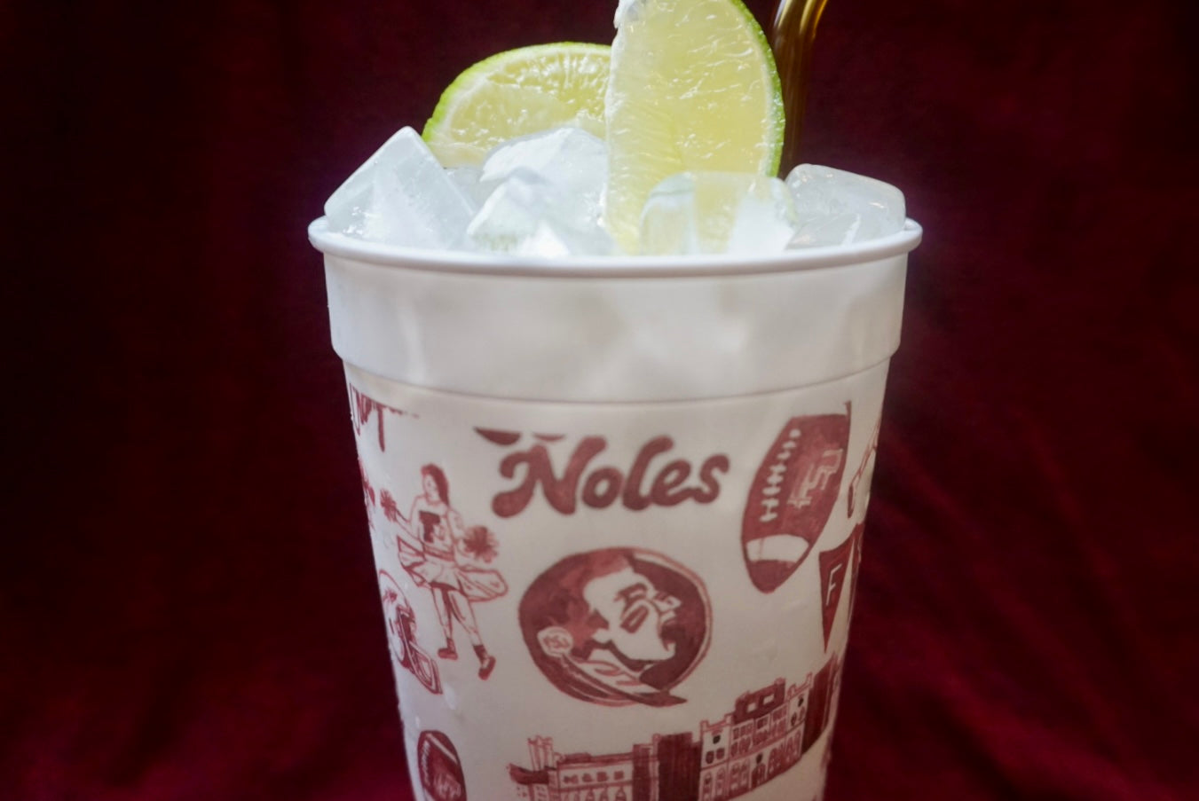 FSU Game Day Tailgate Stadium Cup