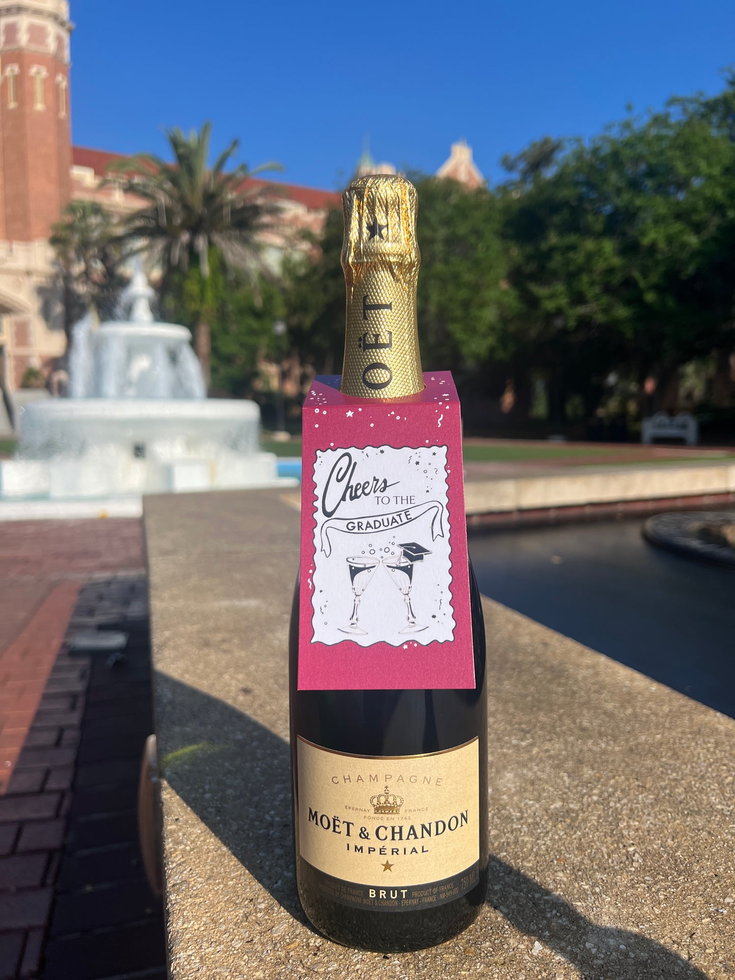 "Cheers to the Graduate!" Champagne Bottle Tag