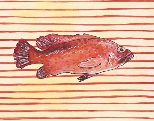 Florida Fish (Grouper) Fine Art Print