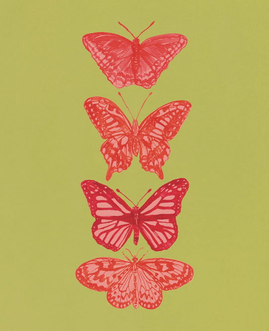 Pink and Green Butterfly Fine Art Print