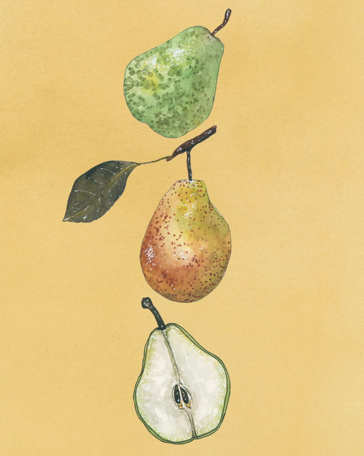 Pears Art Print