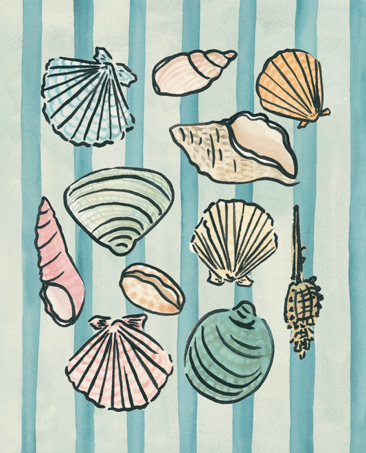 Shells and Stripes Fine Art Print