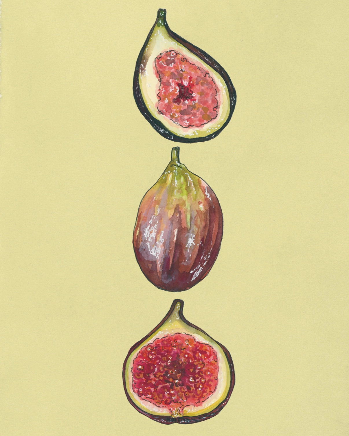 Figs Art Print