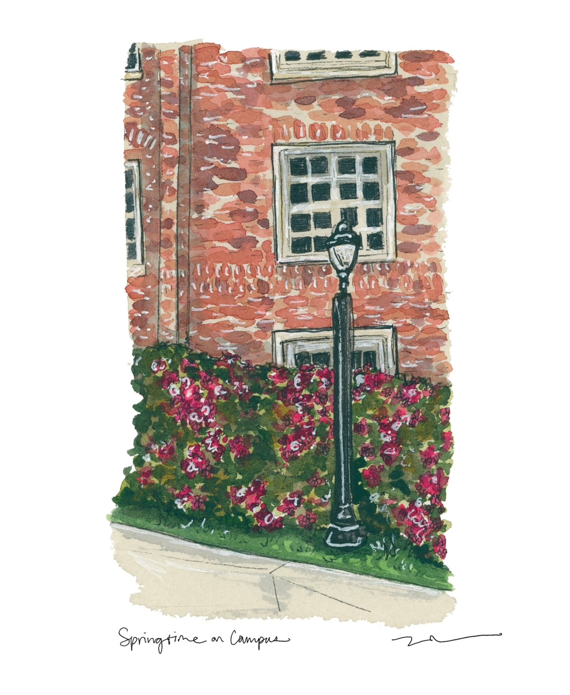 FSU Campus Studies: Springtime on Campus Print