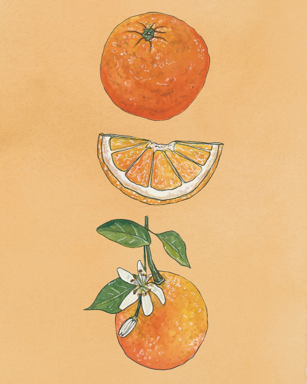 Oranges Art Print