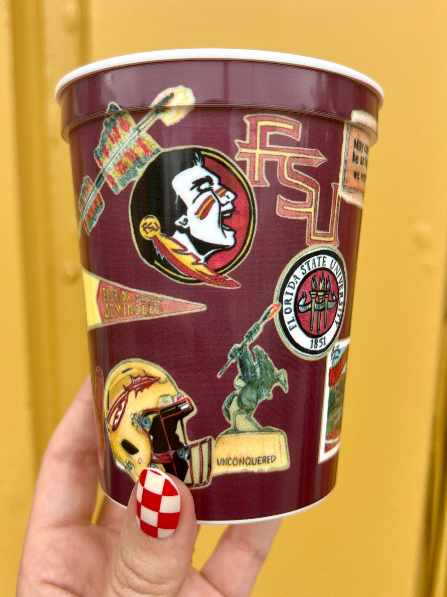 Florida State Univeristy Collage Stadium Cup Set of 4