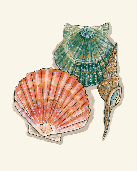 De la Mer Sea Shells Art Print