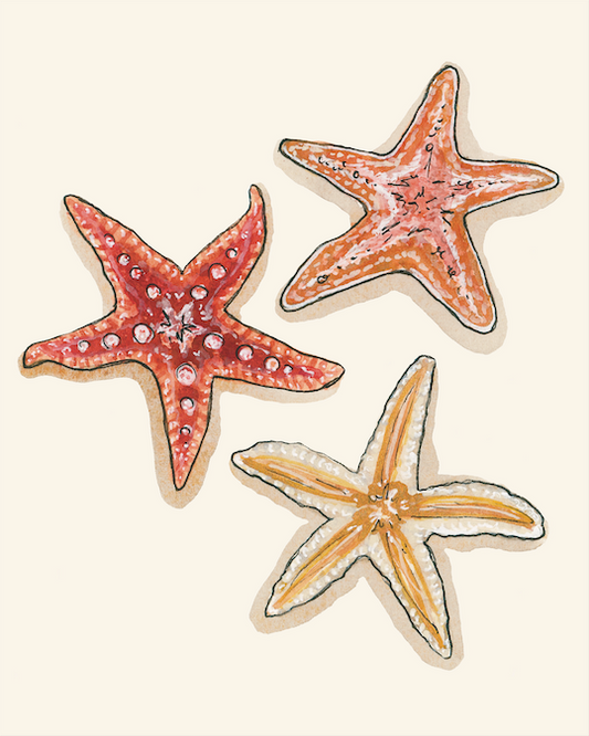 De la Mer Starfish Art Print