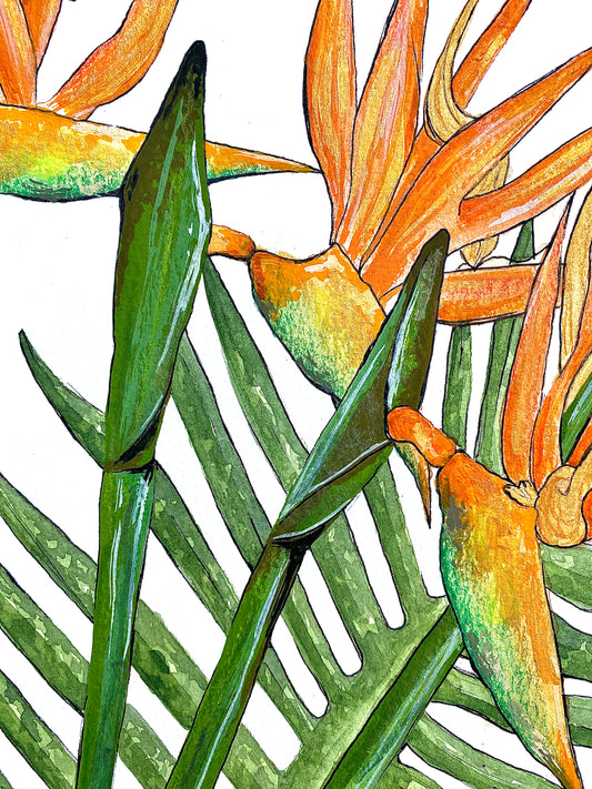 Green and Orange Tropical Flower Art Print