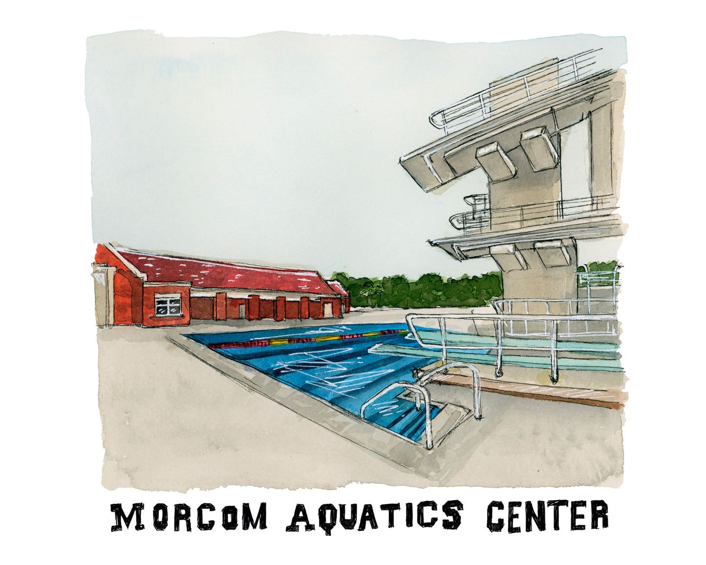 FSU Swim and Dive Morcom Aquatics Center Print