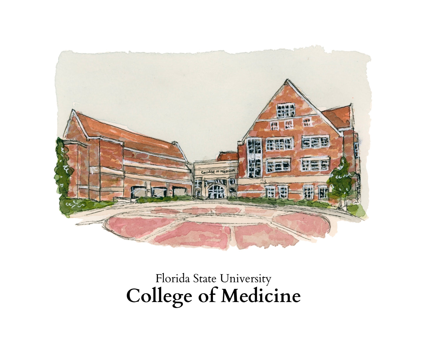 FSU College of Medicine Print artxnikki